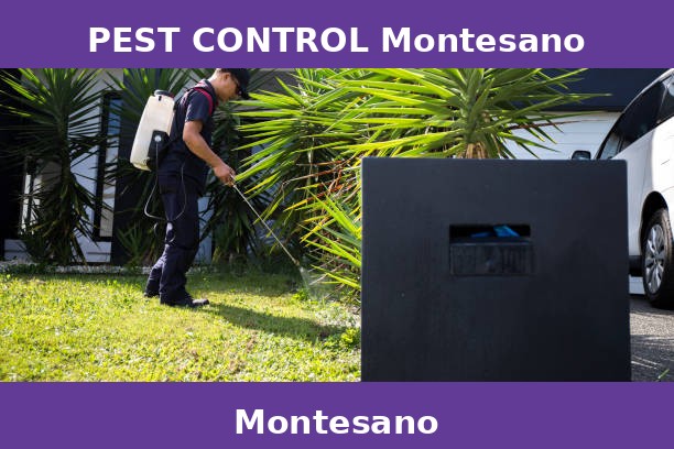 PEST CONTROL Montesano